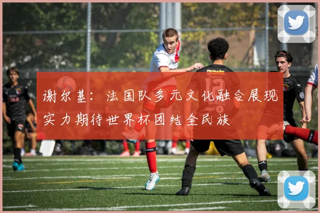 谢尔基：法国队多元文化融合展现实力期待世界杯团结全民族